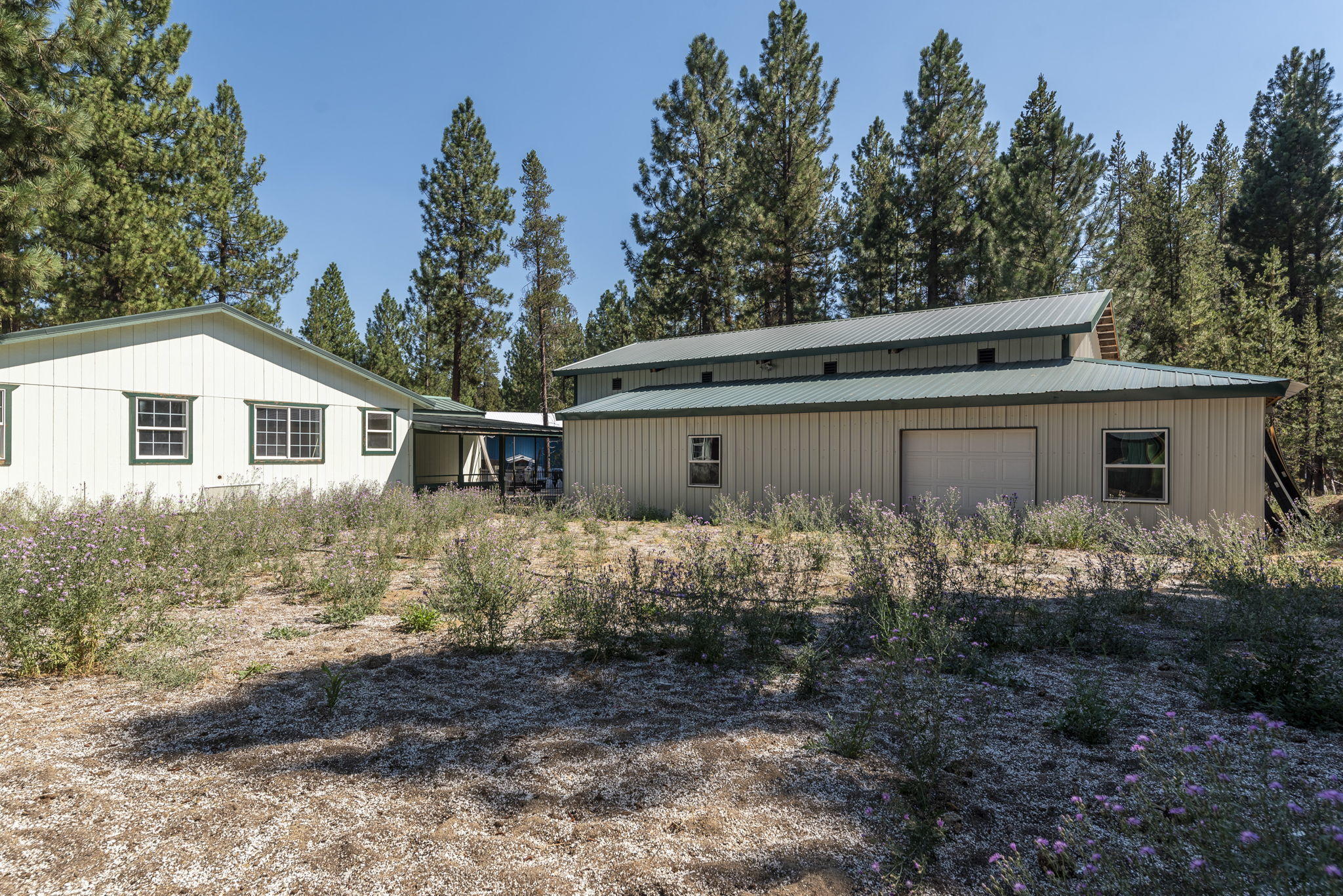 Tall Pines - Residential