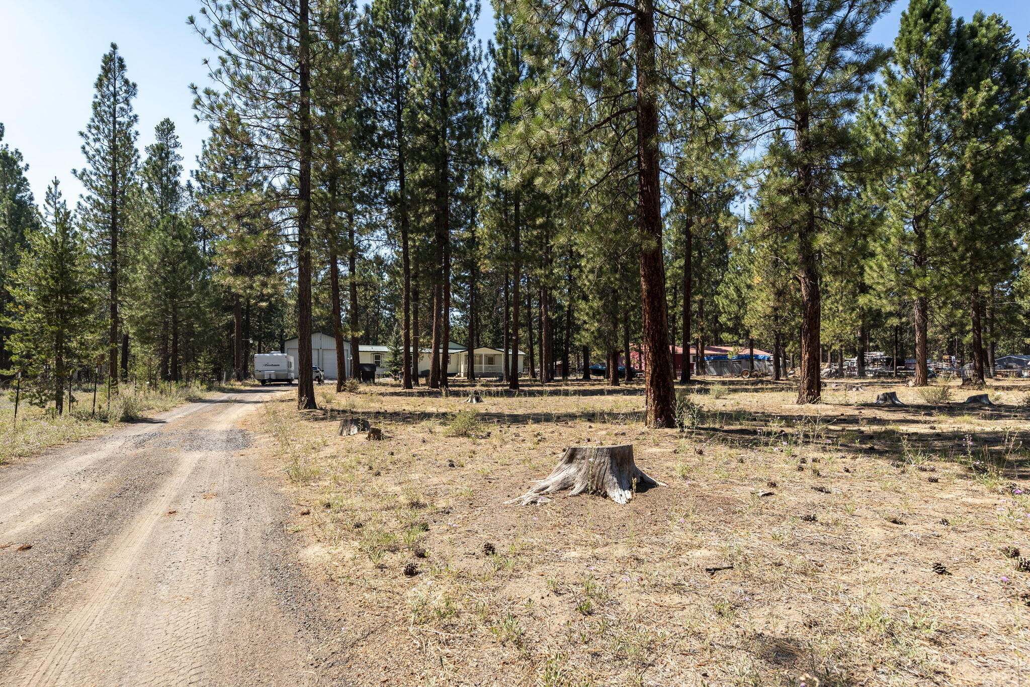 Tall Pines - Residential