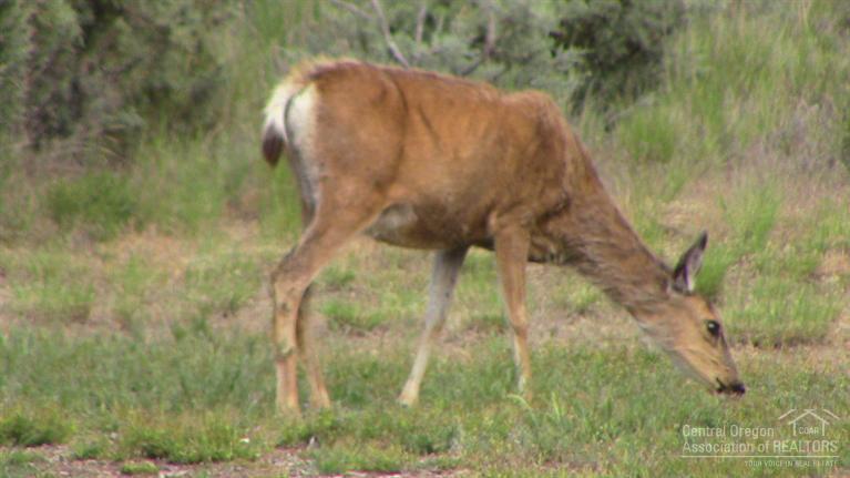 Crr10_C - Residential