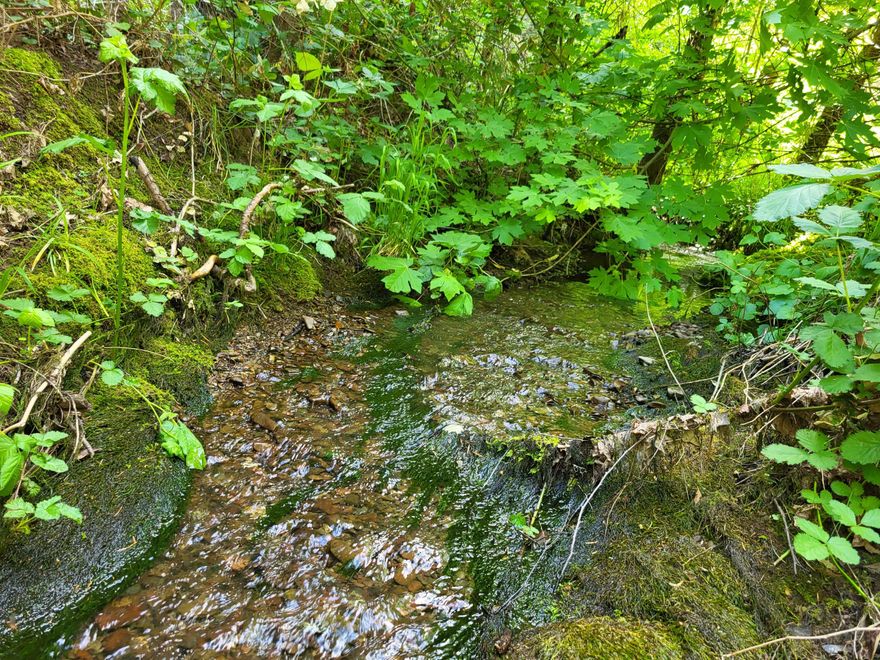 Oregon Dream. Lush 10.12 acres! Seasonal creek. Zoned RR5, perfect for building your dream home or divide and build two homes! Relatively untouched for the last 52 years! Gently rolling land with game trails and possibly old overgrown logging roads. Power at the property line. Very quiet, private, and stunningly beautiful!