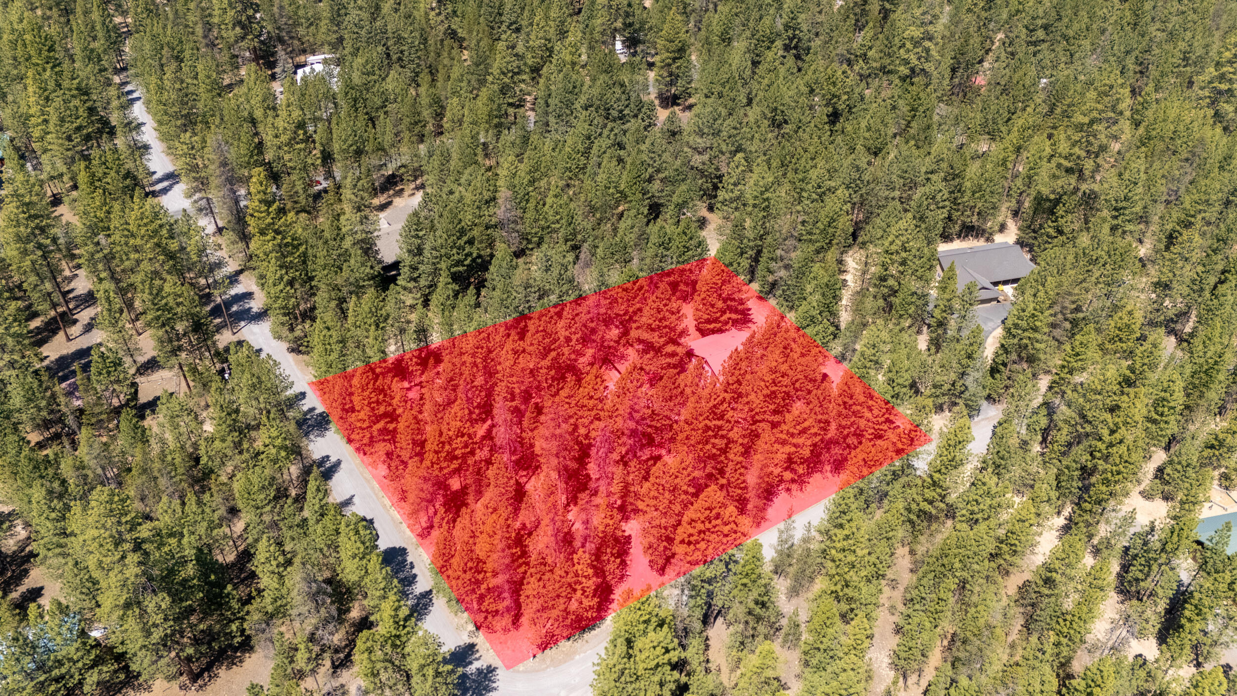 Ponderosa Pines - Residential