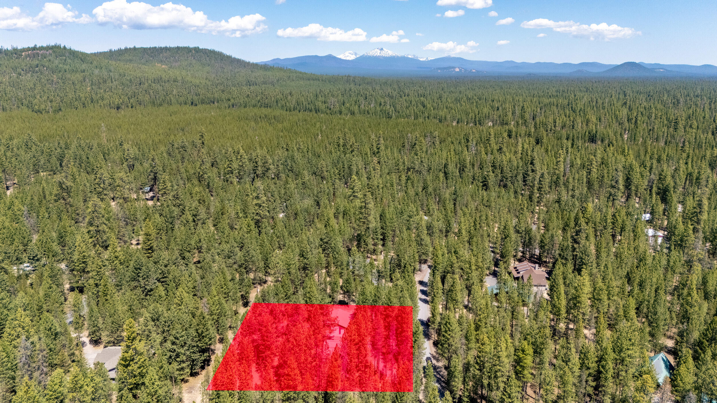 Ponderosa Pines - Residential