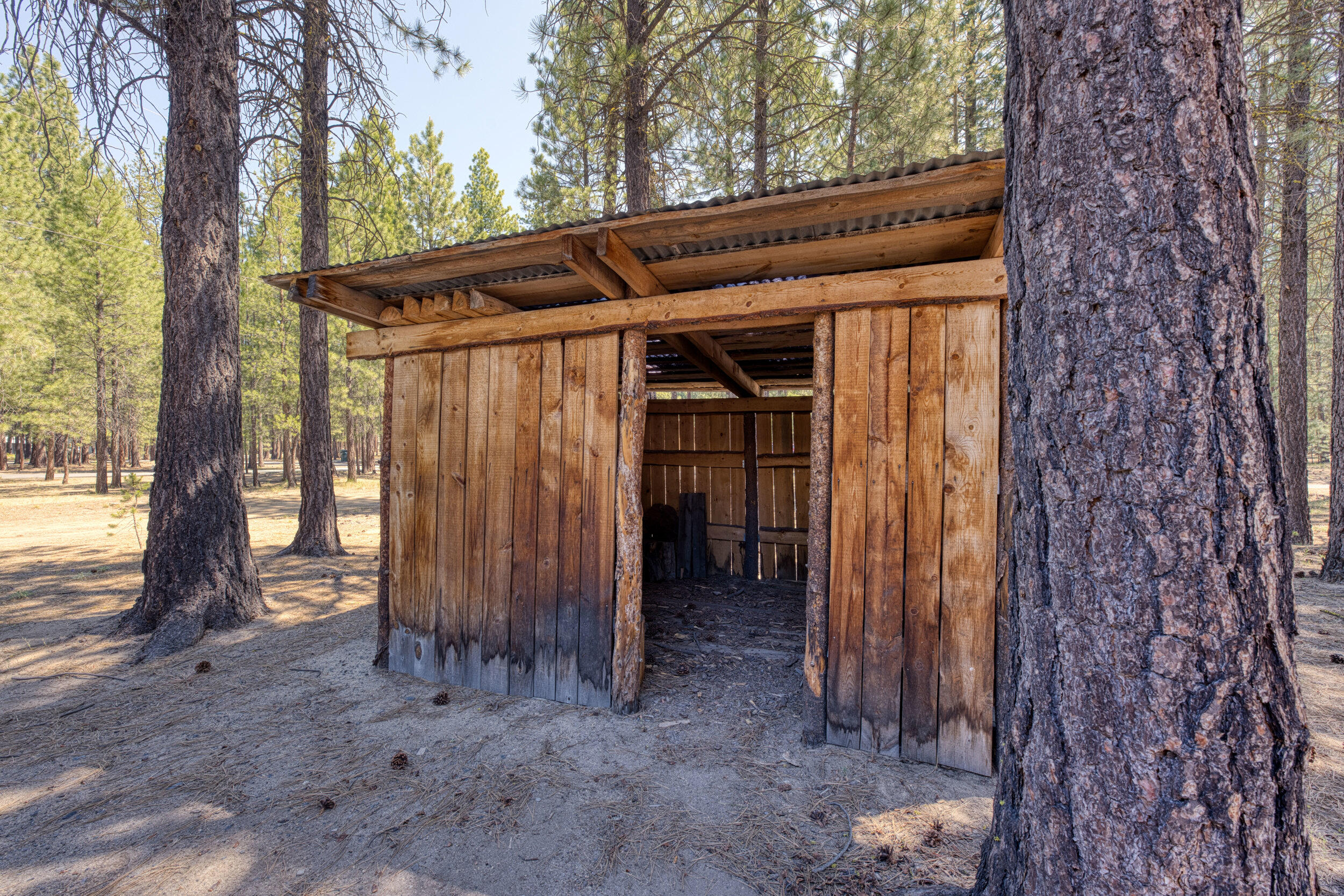 Ponderosa Pines - Residential
