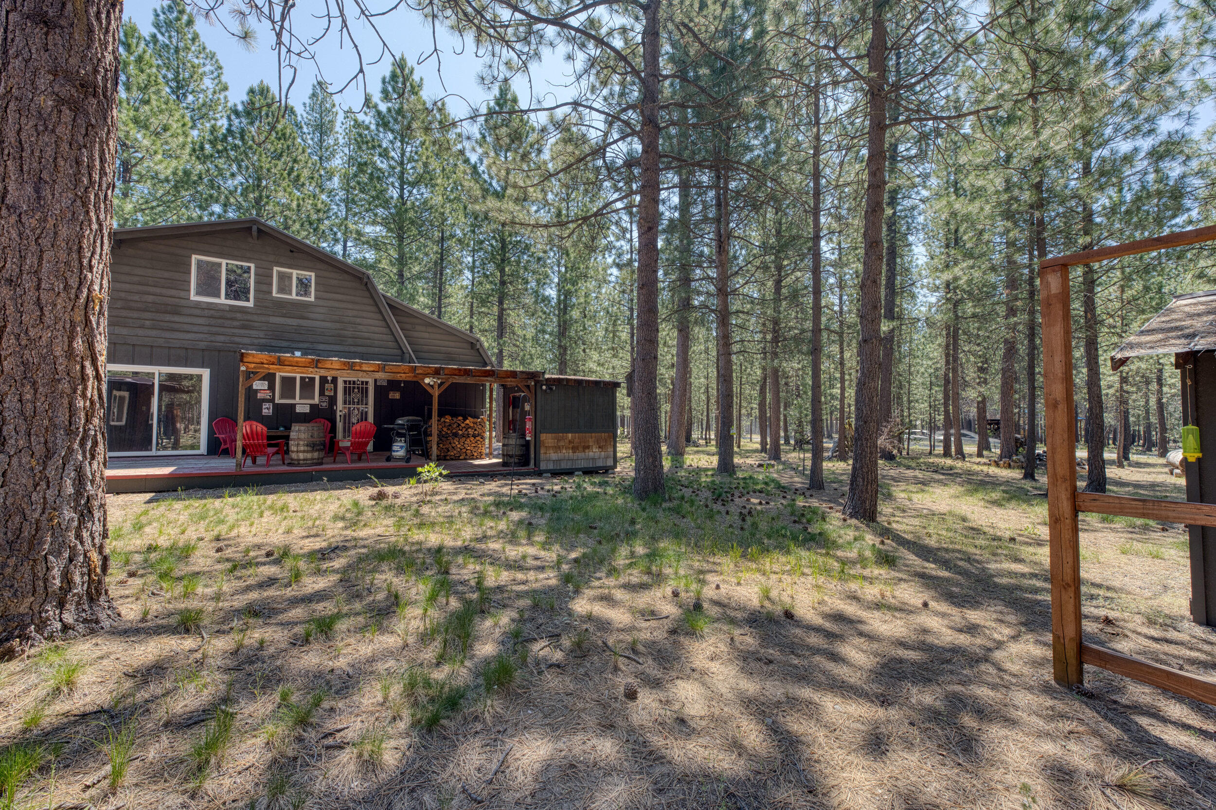 Ponderosa Pines - Residential