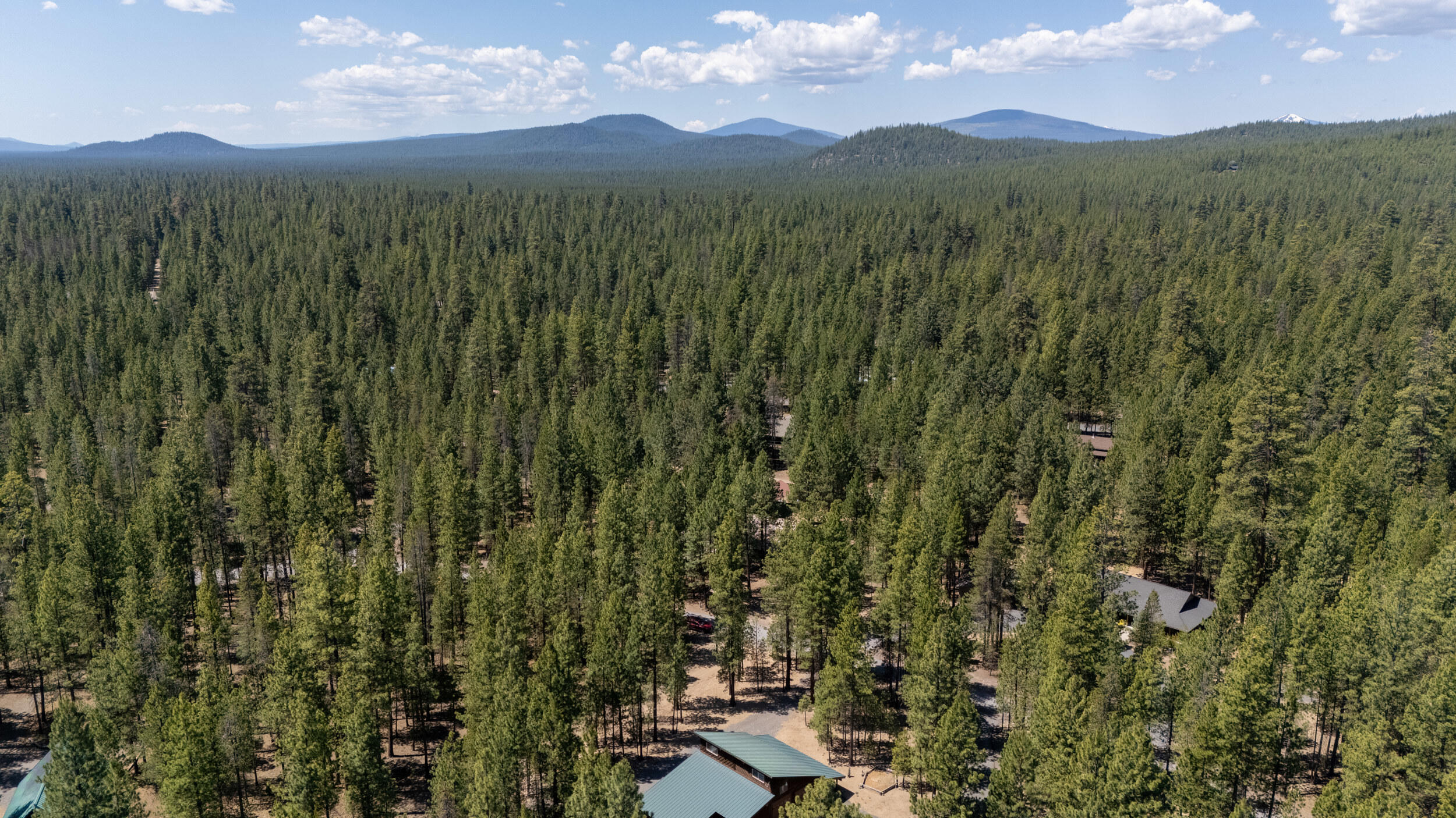 Ponderosa Pines - Residential