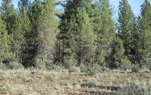 Bley-was Heights - Land