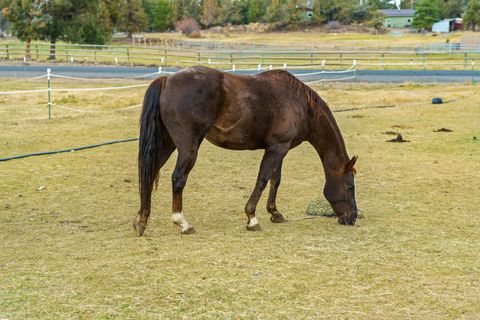 Tiny photo for 62118 Cody Jr Road, Bend, OR 97701 (MLS # 220211949)