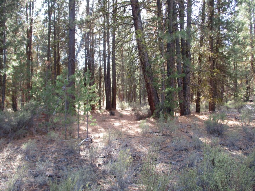 One acre in Sprague river Pines block 7 lot 11  Acess to the River.  come build a home or place a manufactured home on this i acre.