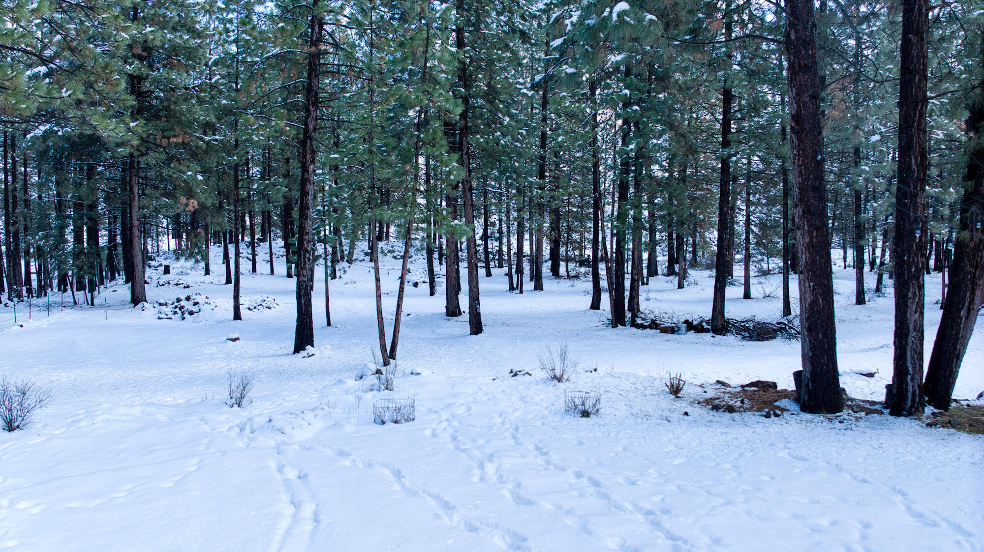 Deschutes RiverWoods - Residential