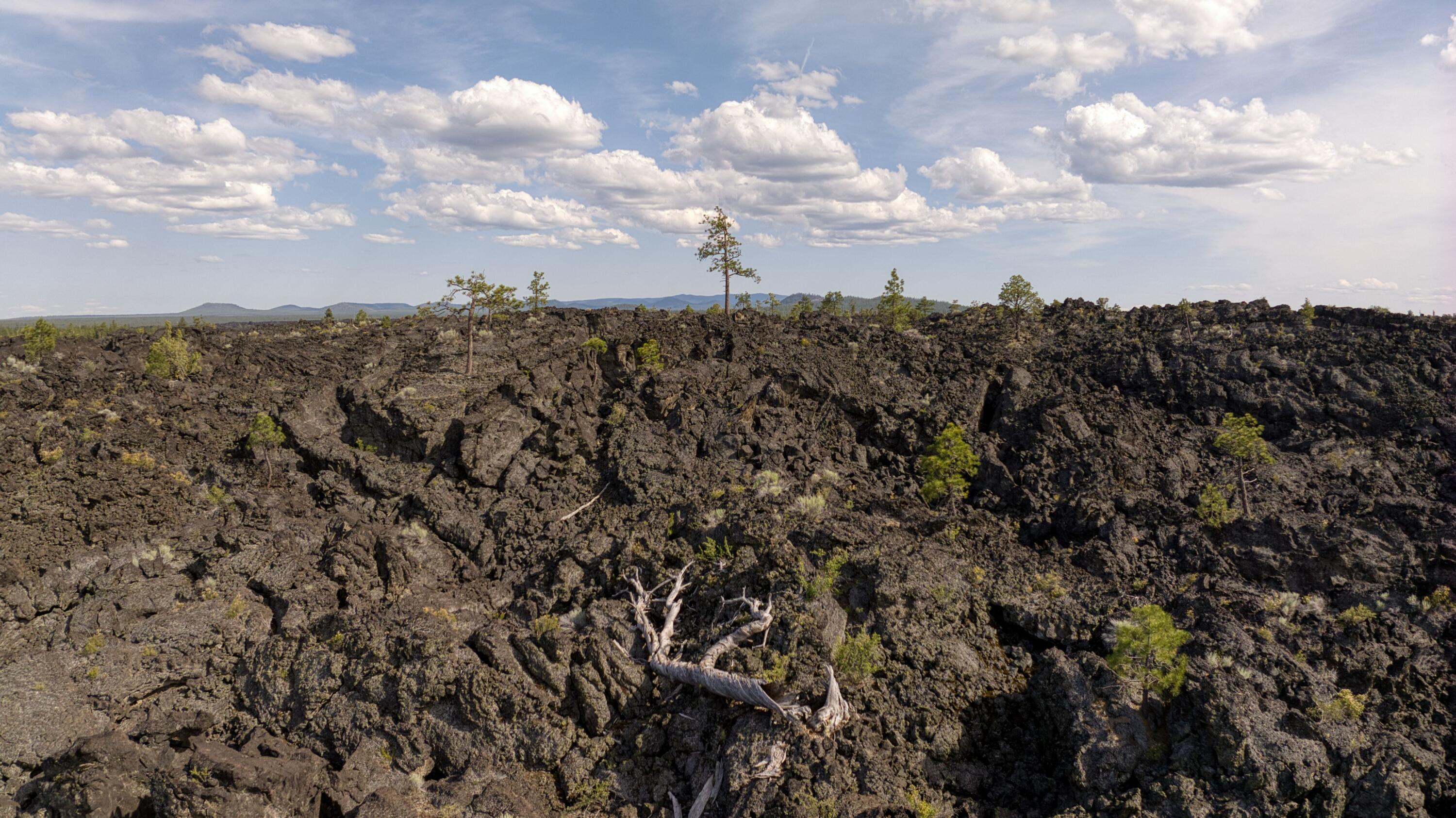 Deschutes RiverWoods - Residential