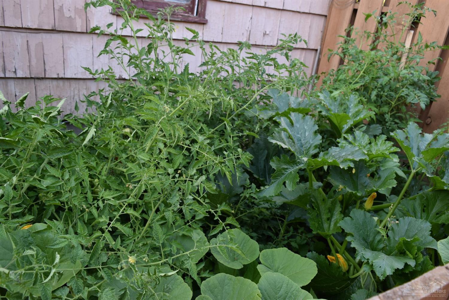 First Fairview - Residential