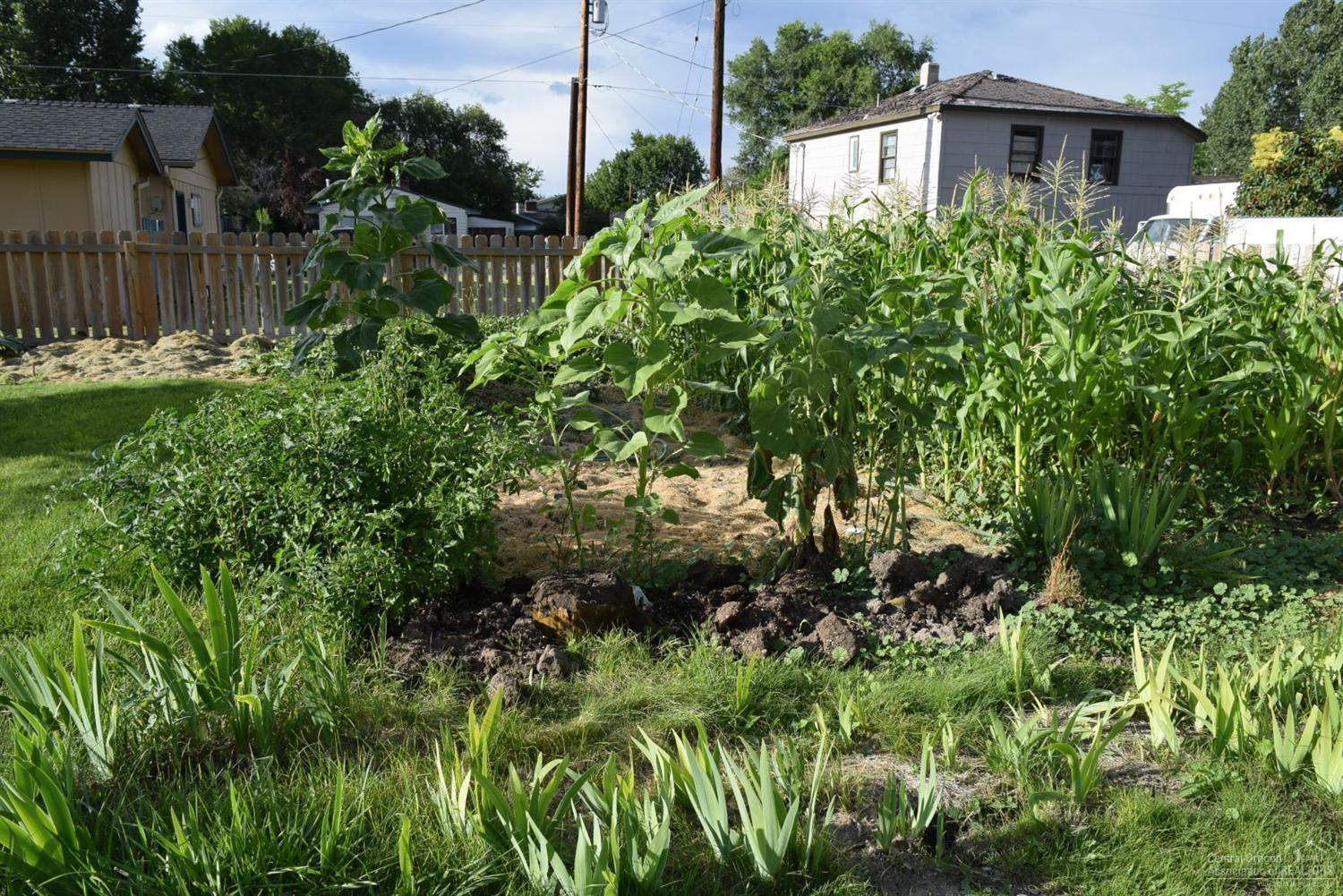 First Fairview - Residential