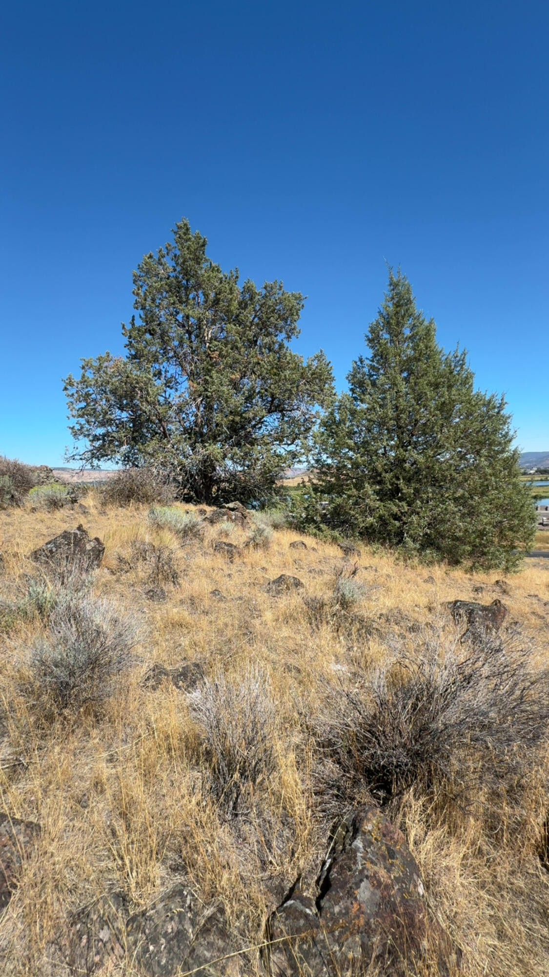 Juniper Ridge - Land