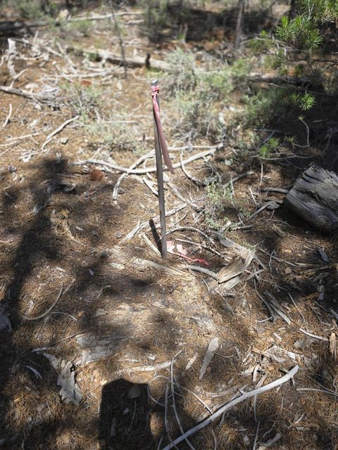 Tiny photo for 52225 Lechner Lane, La Pine, OR 97739 (MLS # 220204377)