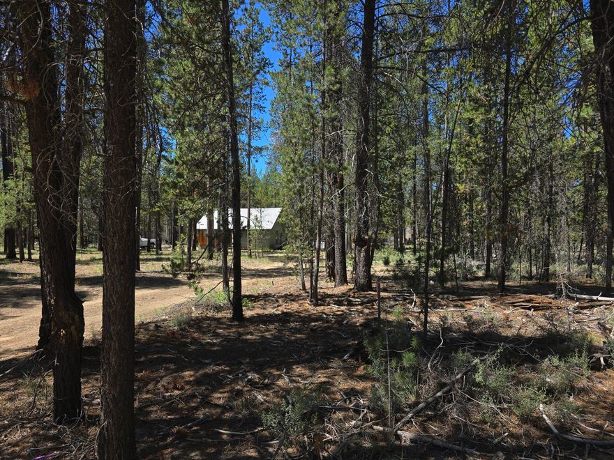 PRICE REDUCTION - VERY MOTIVATED SELLERS!
This quiet setting is your perfect private vacation destination OR built your dream home on this 1.19 acre property. This is a family estate property and they have decided to sell it and let someone else bring there dreams to life here.
The cabin is in need of repair/update or you can remove it and build your dream home here! The cabin has no value, and not financeable, as it doesn't have a proper foundation. It has a well that is approximately 6 yrs old, with new power from the street. Septic system is old and will need updated. It's located in a nice neighborhood, treed acre, and partially cleared. Close to all the recreational fun Central Oregon has to offer and minutes to downtown La Pine, and approx. 35 minutes to Bend area.  Property is being sold in a ''AS IS'' state condition.  Vehicle will be removed.
Seller's are very motived to sell so please bring your reasonable offer to the table.