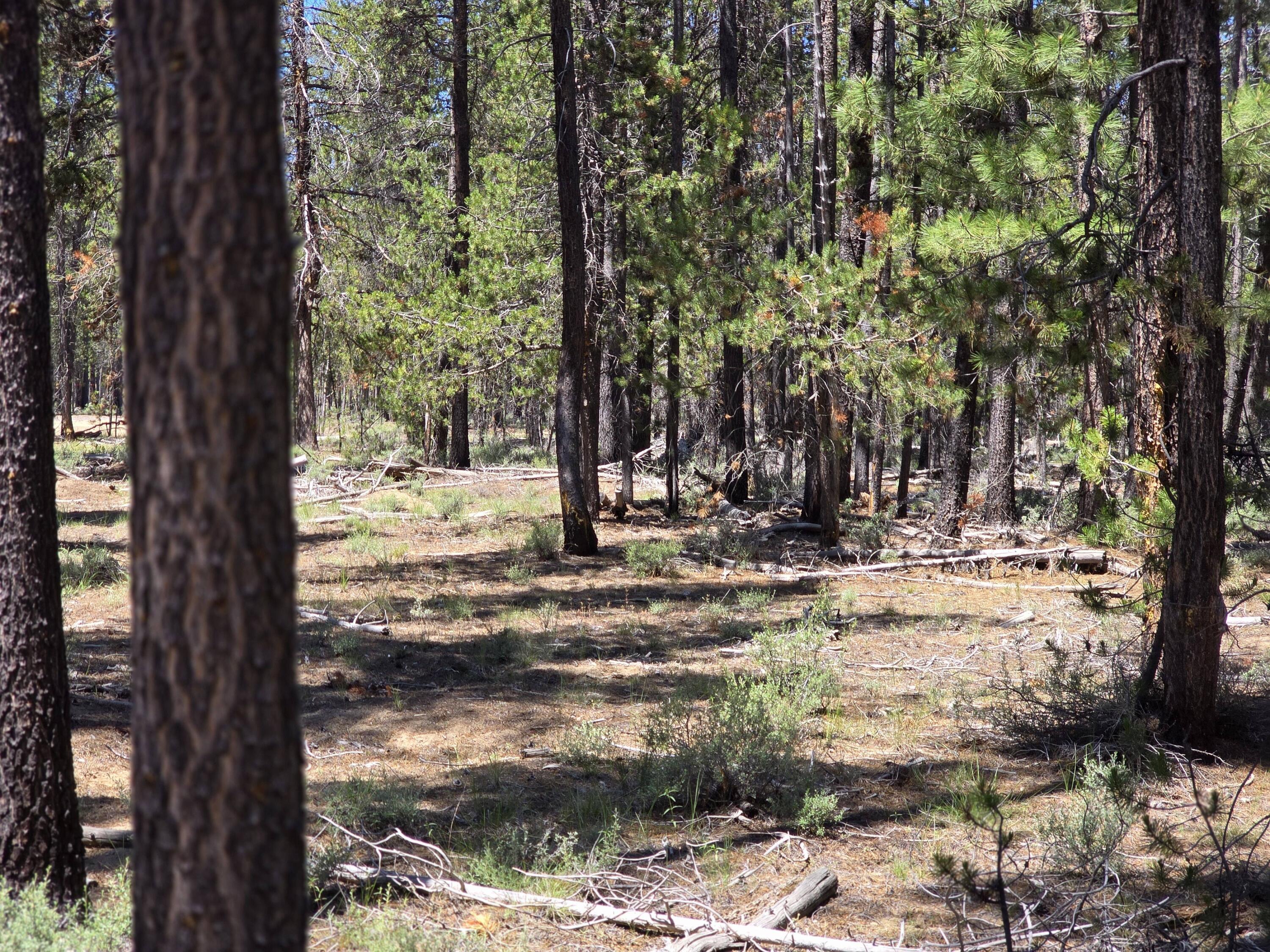 Woodland Park - Residential