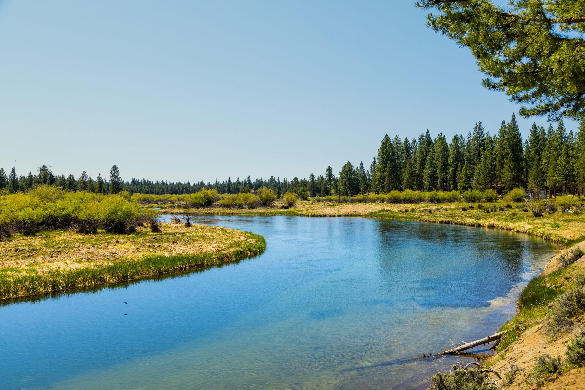 River Forest Acres - Residential