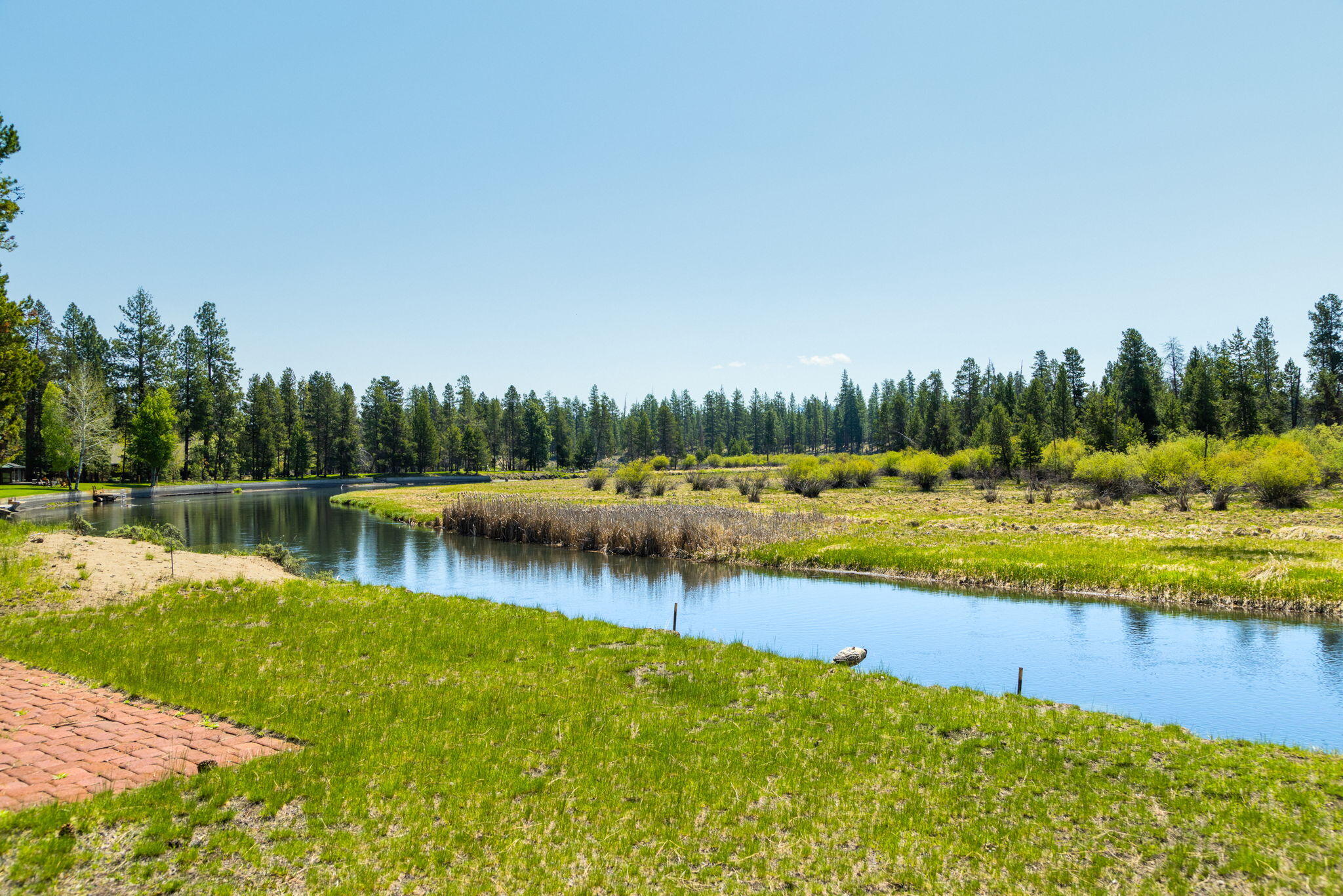 River Forest Acres - Residential