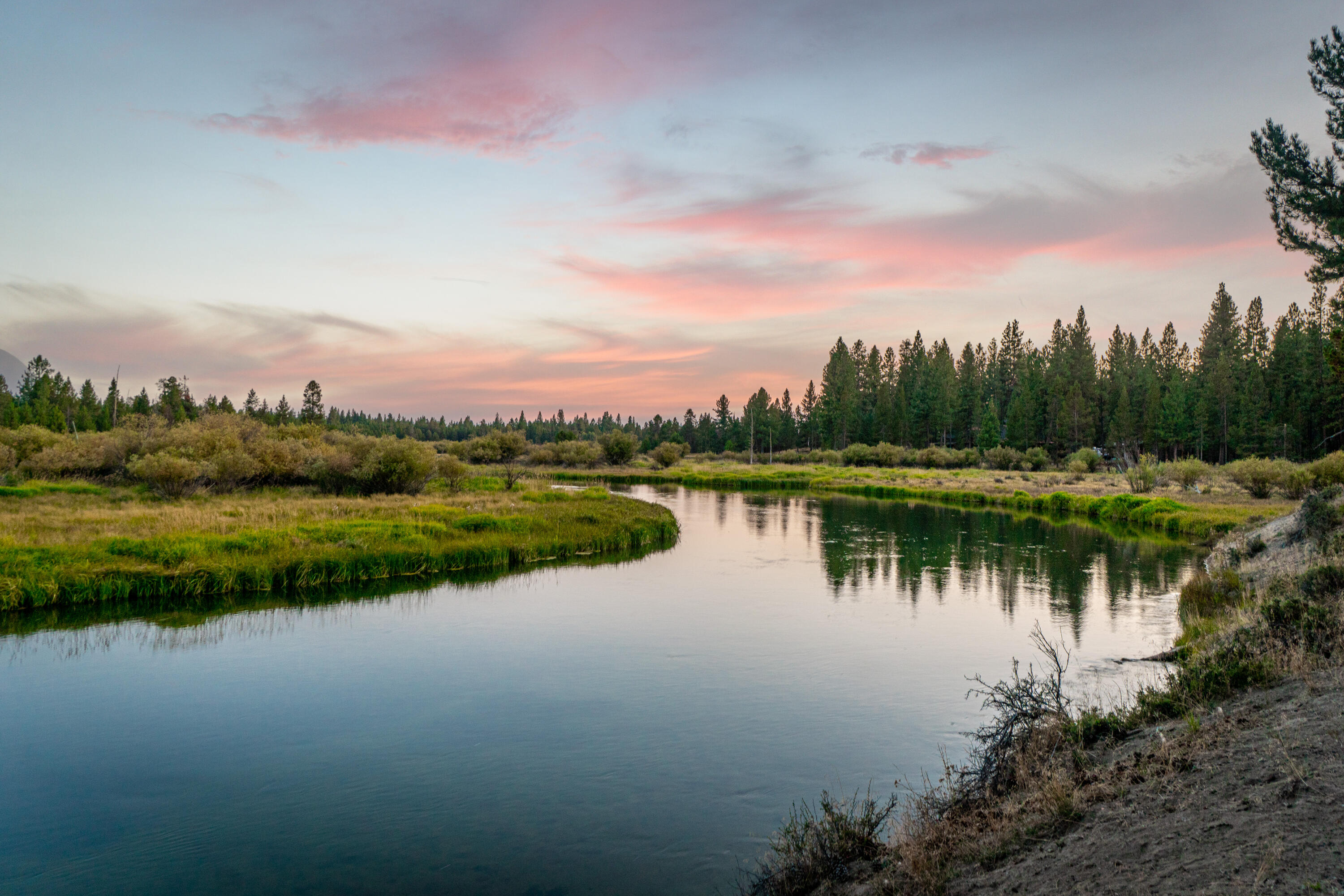 River Forest Acres - Residential