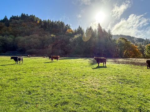 Tiny photo for 27277 Lower Smith River Road, Reedsport, OR 97467 (MLS # 220211864)