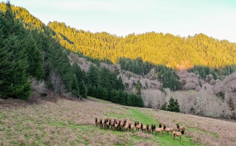 Tiny photo for 27277 Lower Smith River Road, Reedsport, OR 97467 (MLS # 220211864)