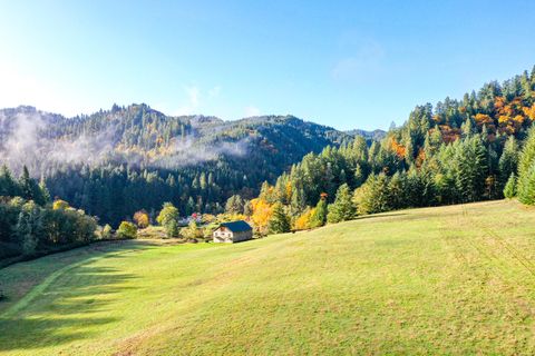 Tiny photo for 27277 Lower Smith River Road, Reedsport, OR 97467 (MLS # 220211864)