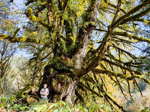 Tiny photo for 27277 Lower Smith River Road, Reedsport, OR 97467 (MLS # 220211864)