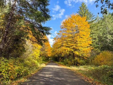 Tiny photo for 27277 Lower Smith River Road, Reedsport, OR 97467 (MLS # 220211864)