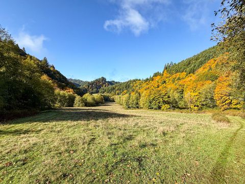 Tiny photo for 27277 Lower Smith River Road, Reedsport, OR 97467 (MLS # 220211864)