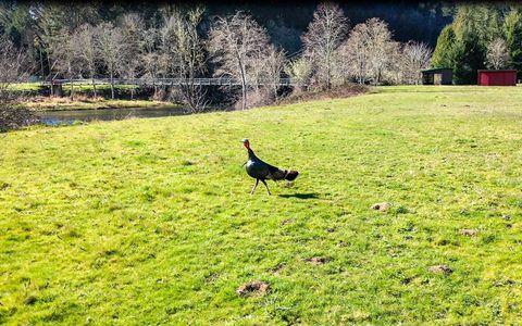 Tiny photo for 27277 Lower Smith River Road, Reedsport, OR 97467 (MLS # 220211864)