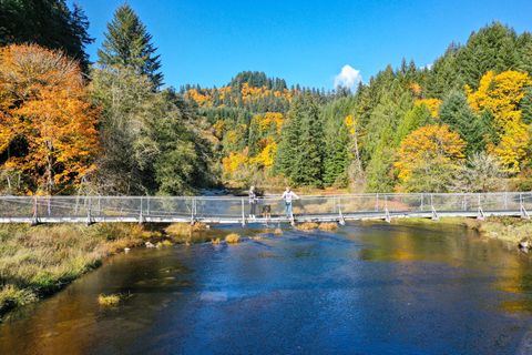 Tiny photo for 27277 Lower Smith River Road, Reedsport, OR 97467 (MLS # 220211864)