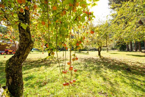 Tiny photo for 27277 Lower Smith River Road, Reedsport, OR 97467 (MLS # 220211864)