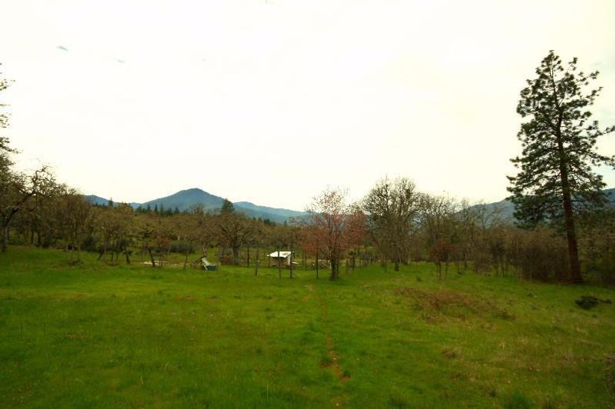 55+ Private Acres in Central Location of Sunny Ruch. Nicely spotted with Oaks and Pines on gently rolling land. The upper part turns a little steeper and adds a good mix of Madrone and Fir. Live in the cozy 3 bedroom, 2 bath, 1200 sq.ft. home with large windows and a deck overlooking incredible views of the valley and mountains while you build your dream home on the extra building pad with well and septic. Bordered by BLM and gated entry. This is beautiful land, perfect for vineyard, horses ?...an estate all your own.