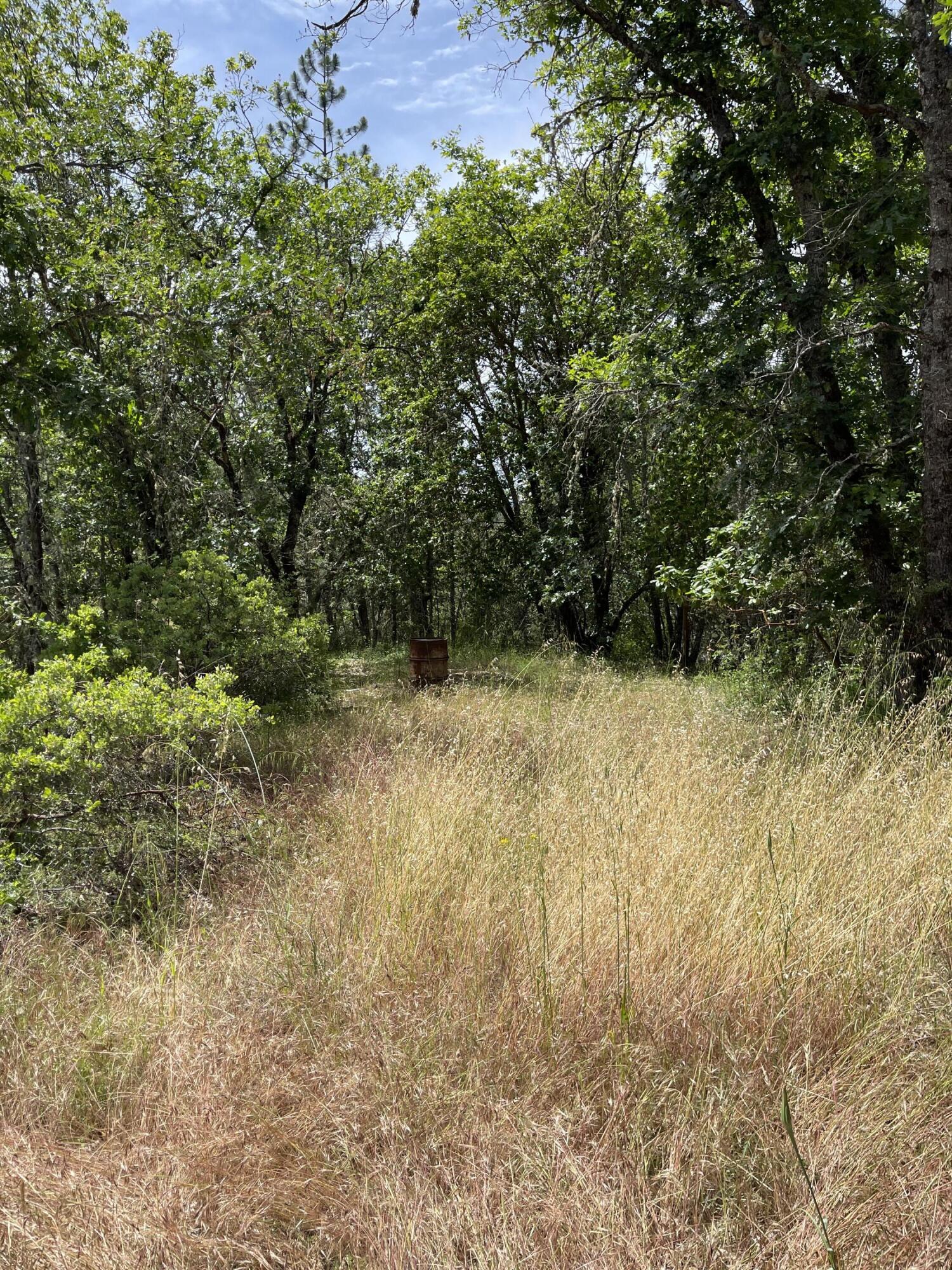 Spring Oak Subdivision - Residential