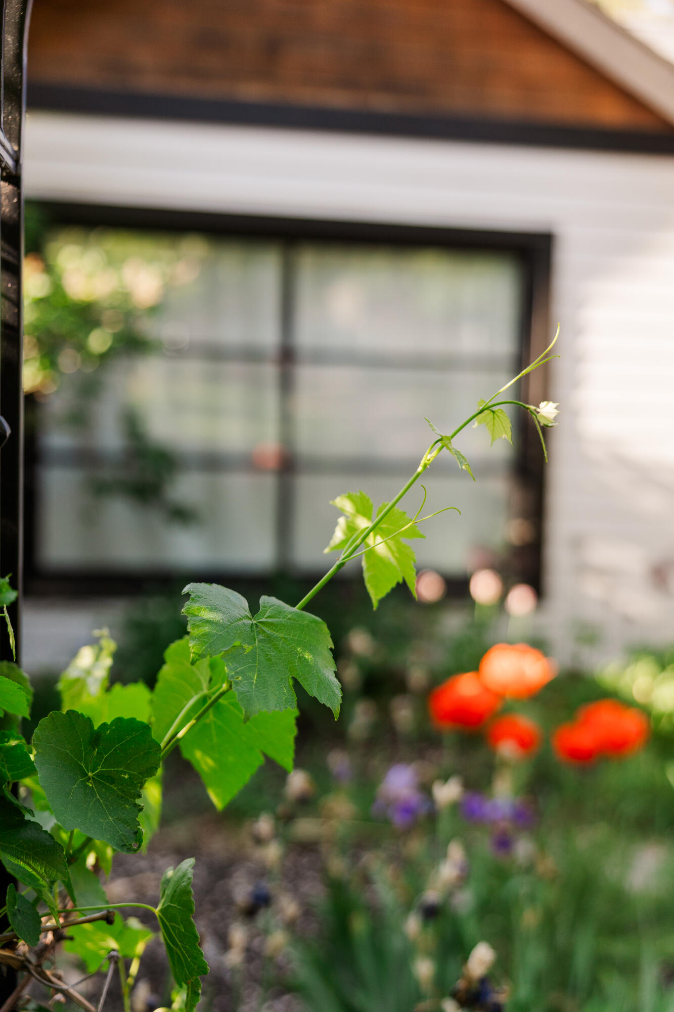 Deschutes - Residential