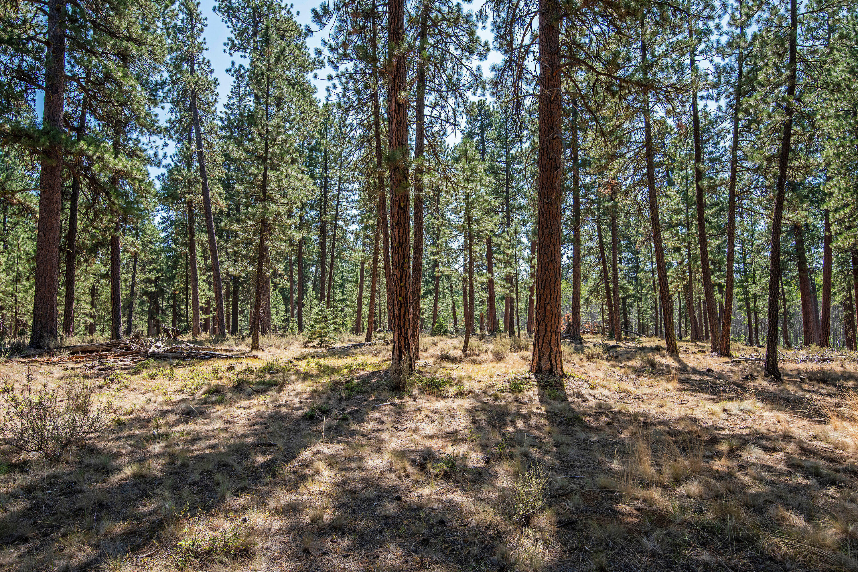 Black Butte Ranch - Residential