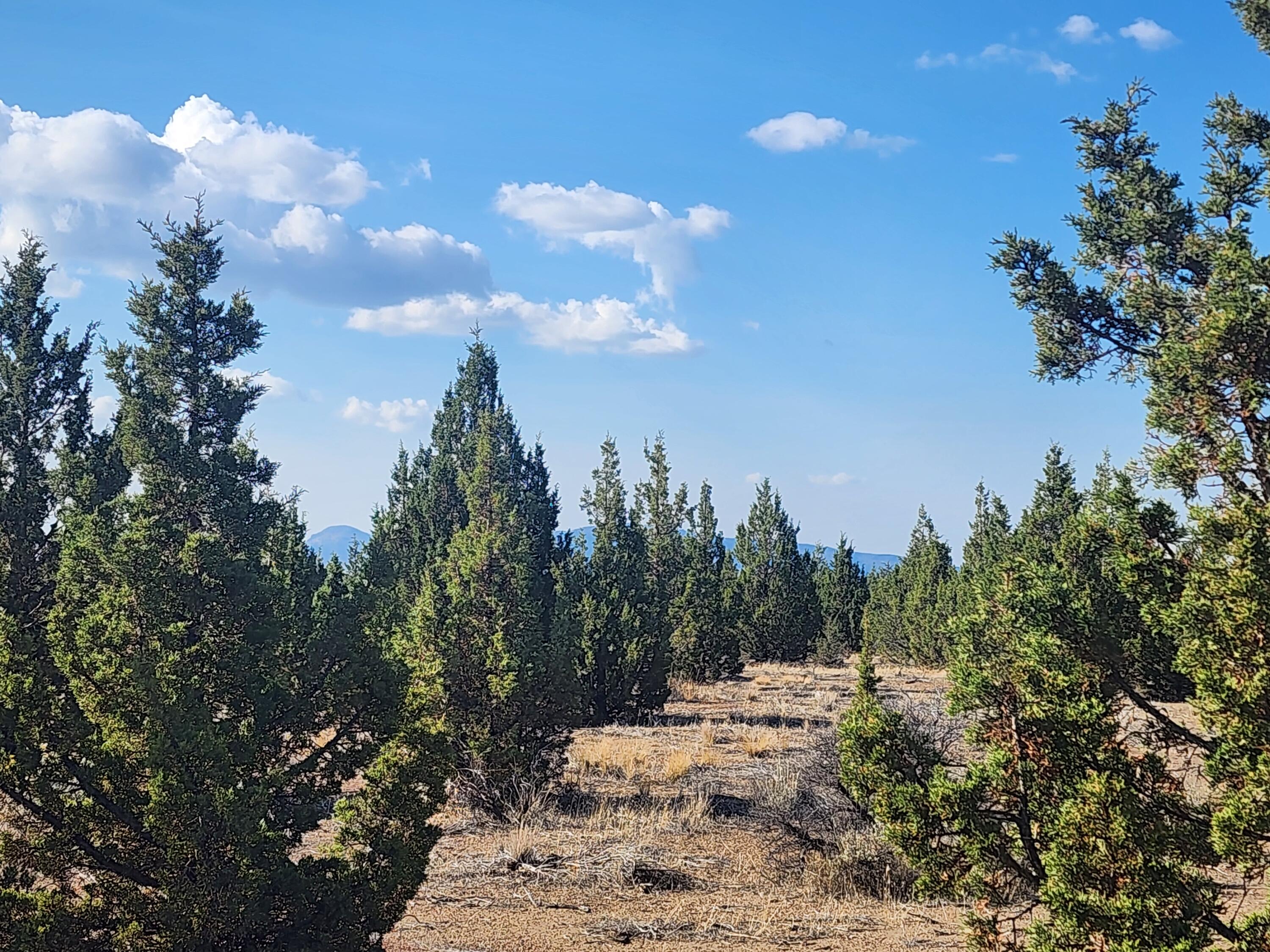 Juniper Acres - Land