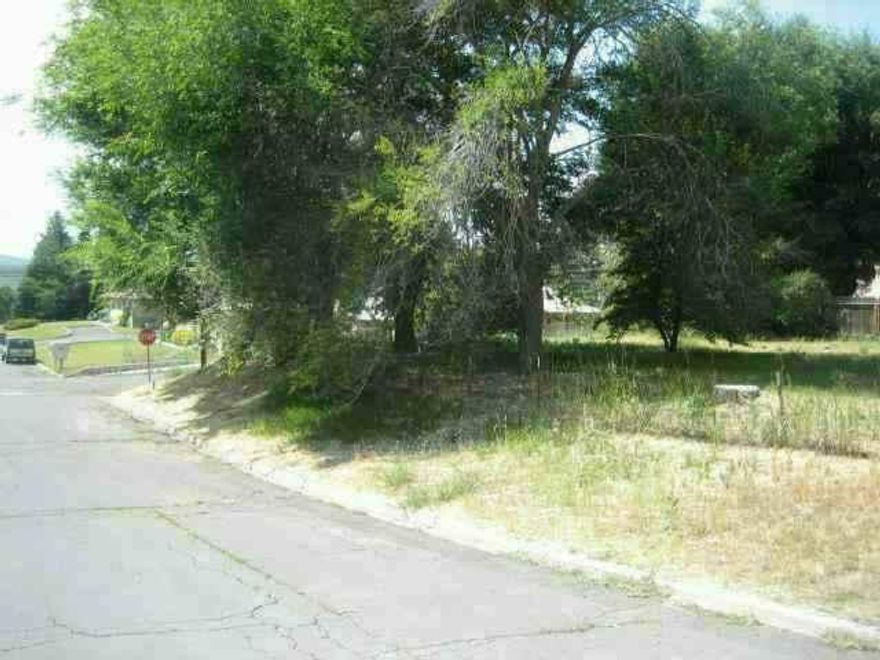Large Corner Lot With Tall Shade Trees. Quiet, Established Neighborhood.