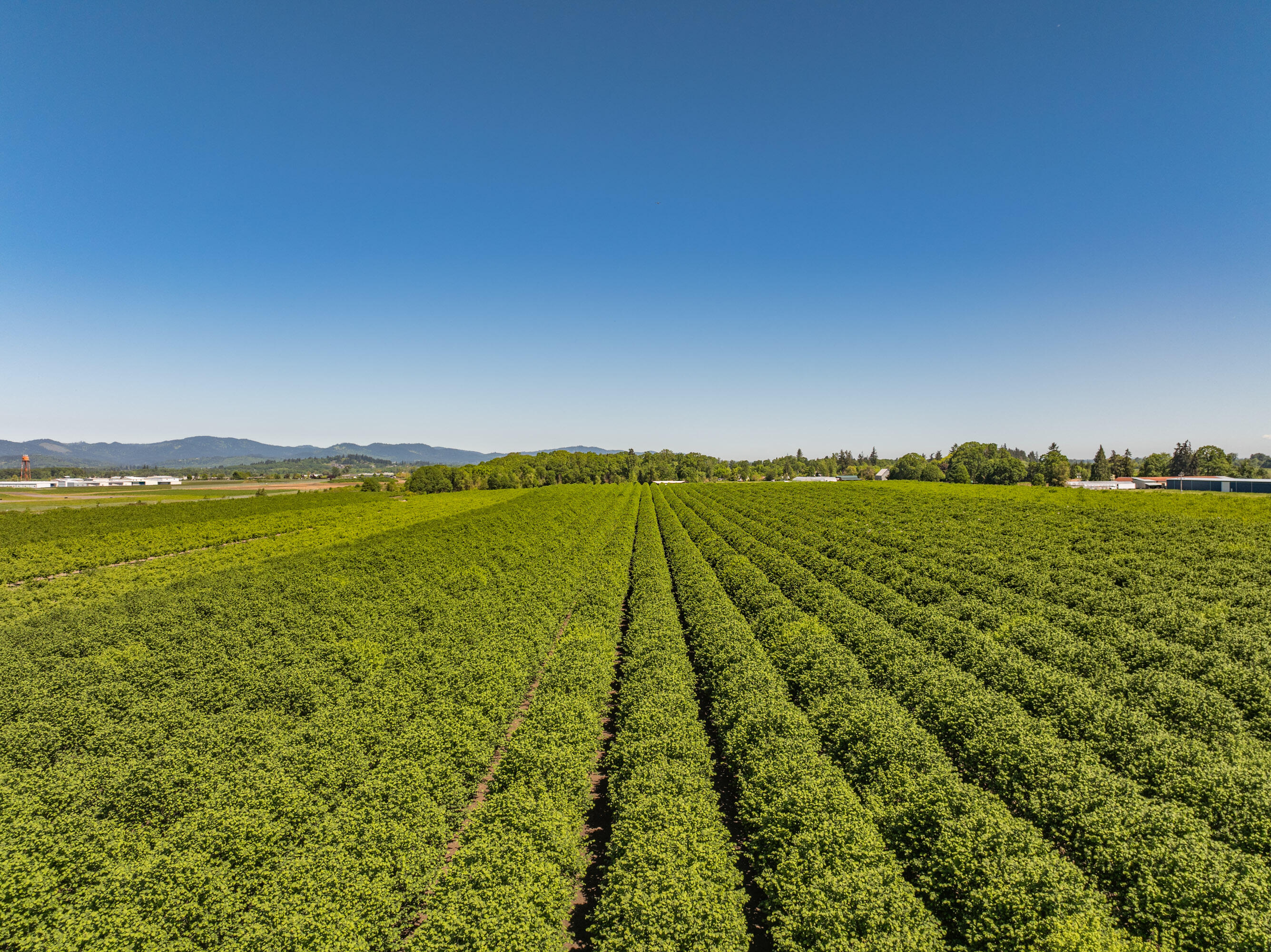 Corvallis Industrial Park - Land