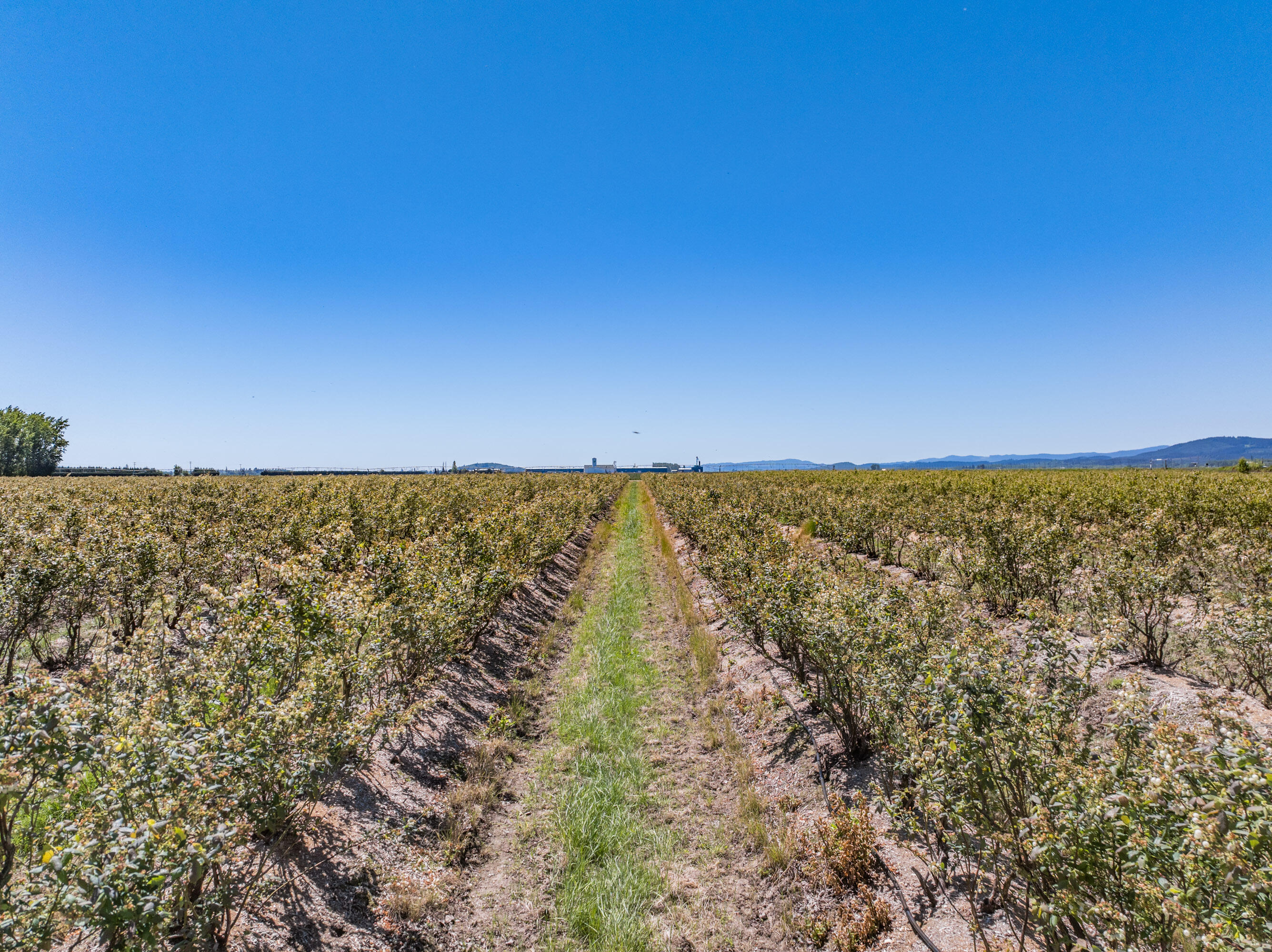 Corvallis Industrial Park - Land