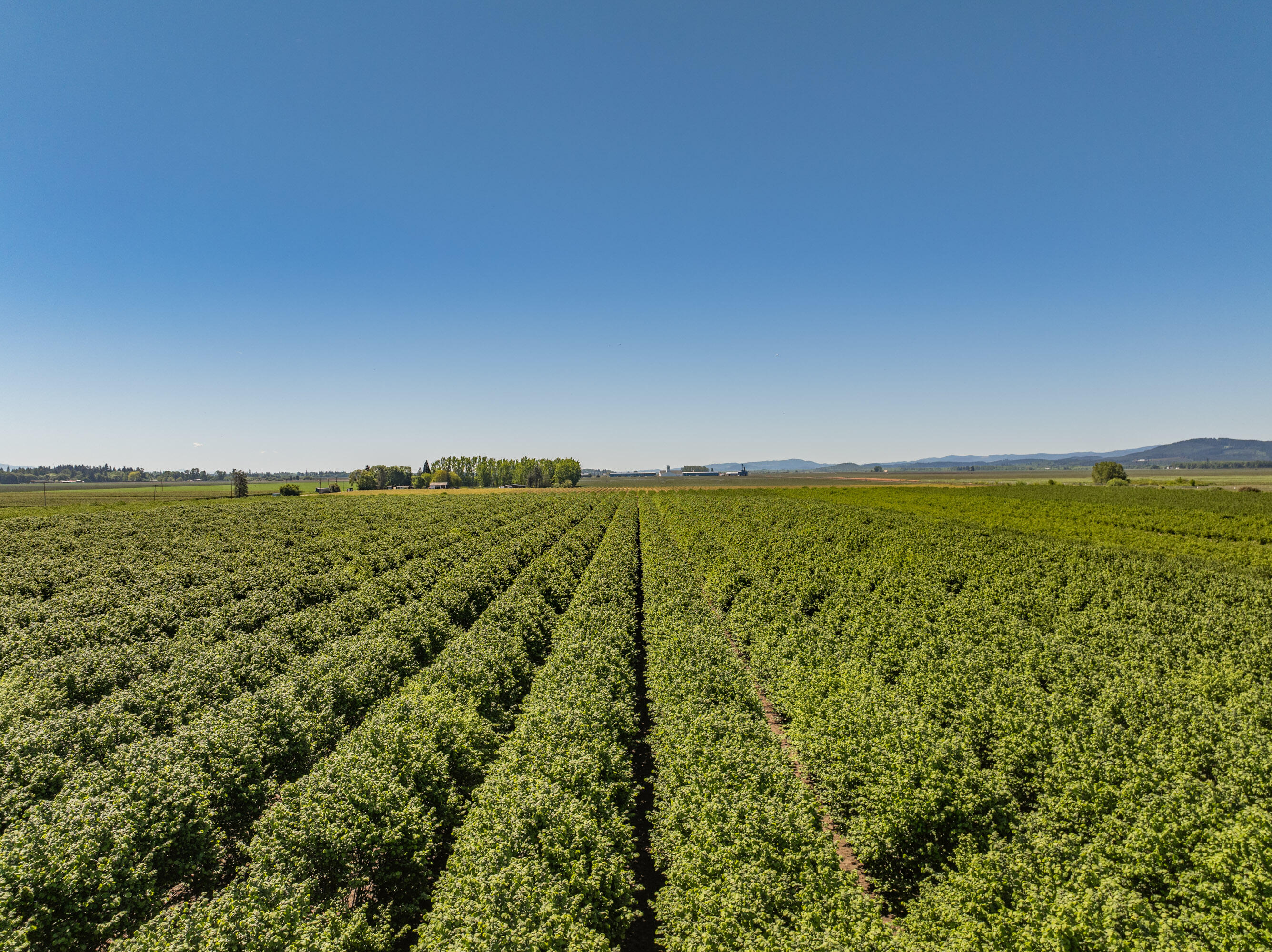 Corvallis Industrial Park - Land