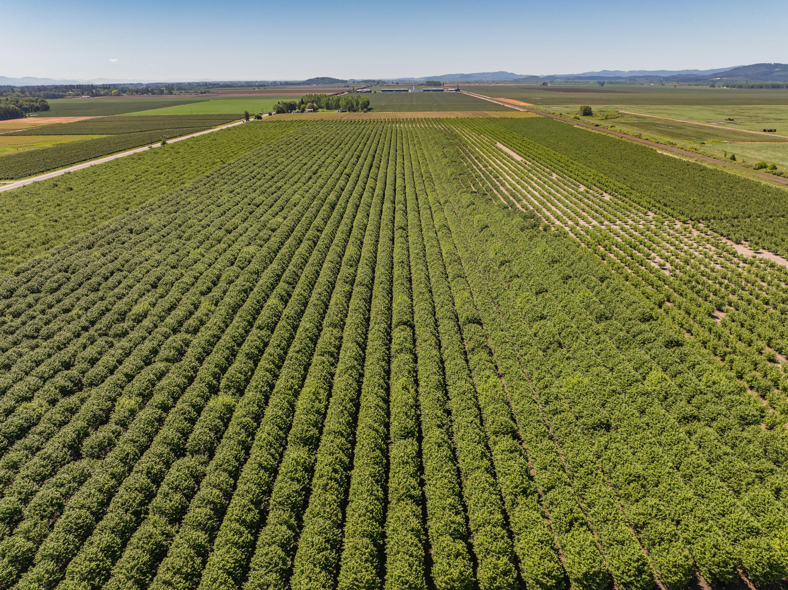 Corvallis Industrial Park - Land