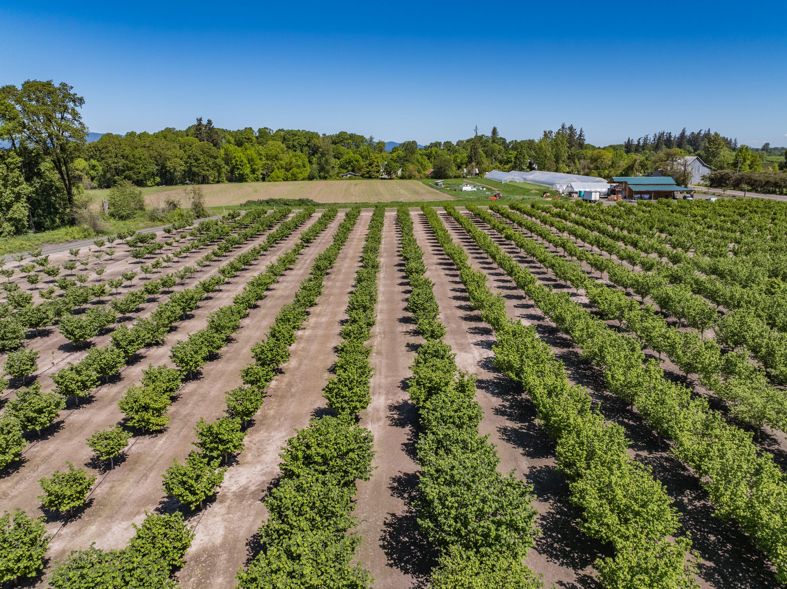 Corvallis Industrial Park - Land