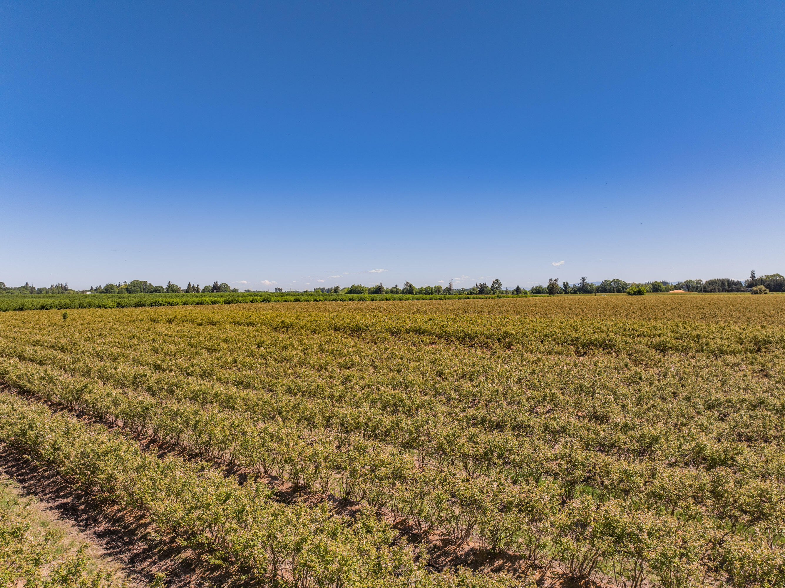 Corvallis Industrial Park - Land