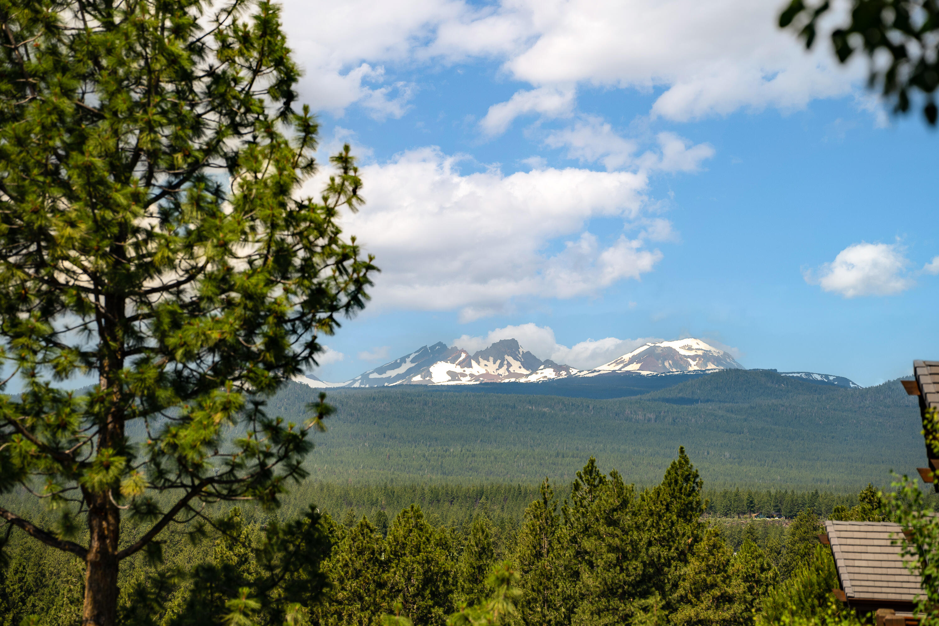 Skyliner Summit - Residential