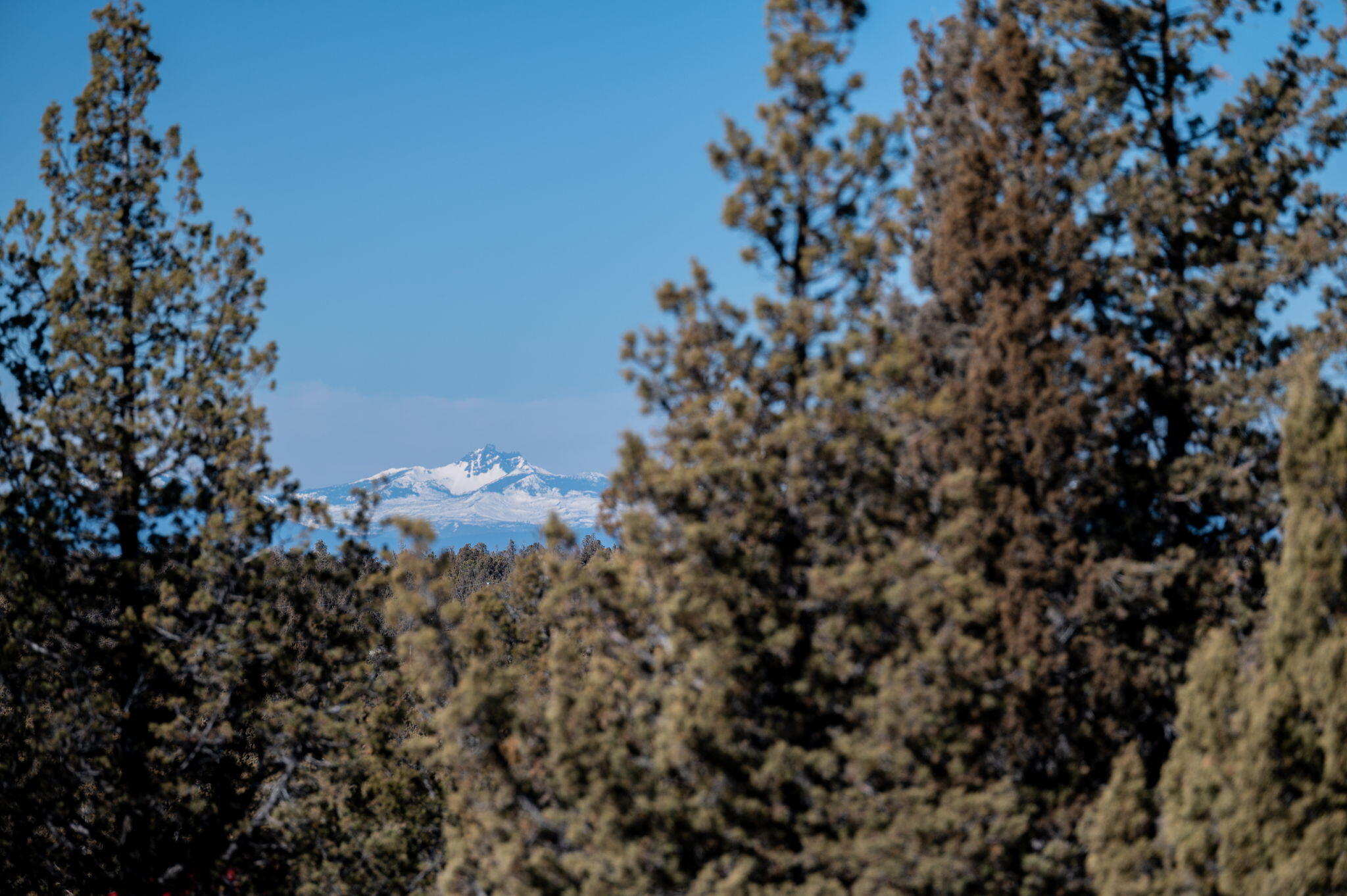 SE Goble Drive TL4200