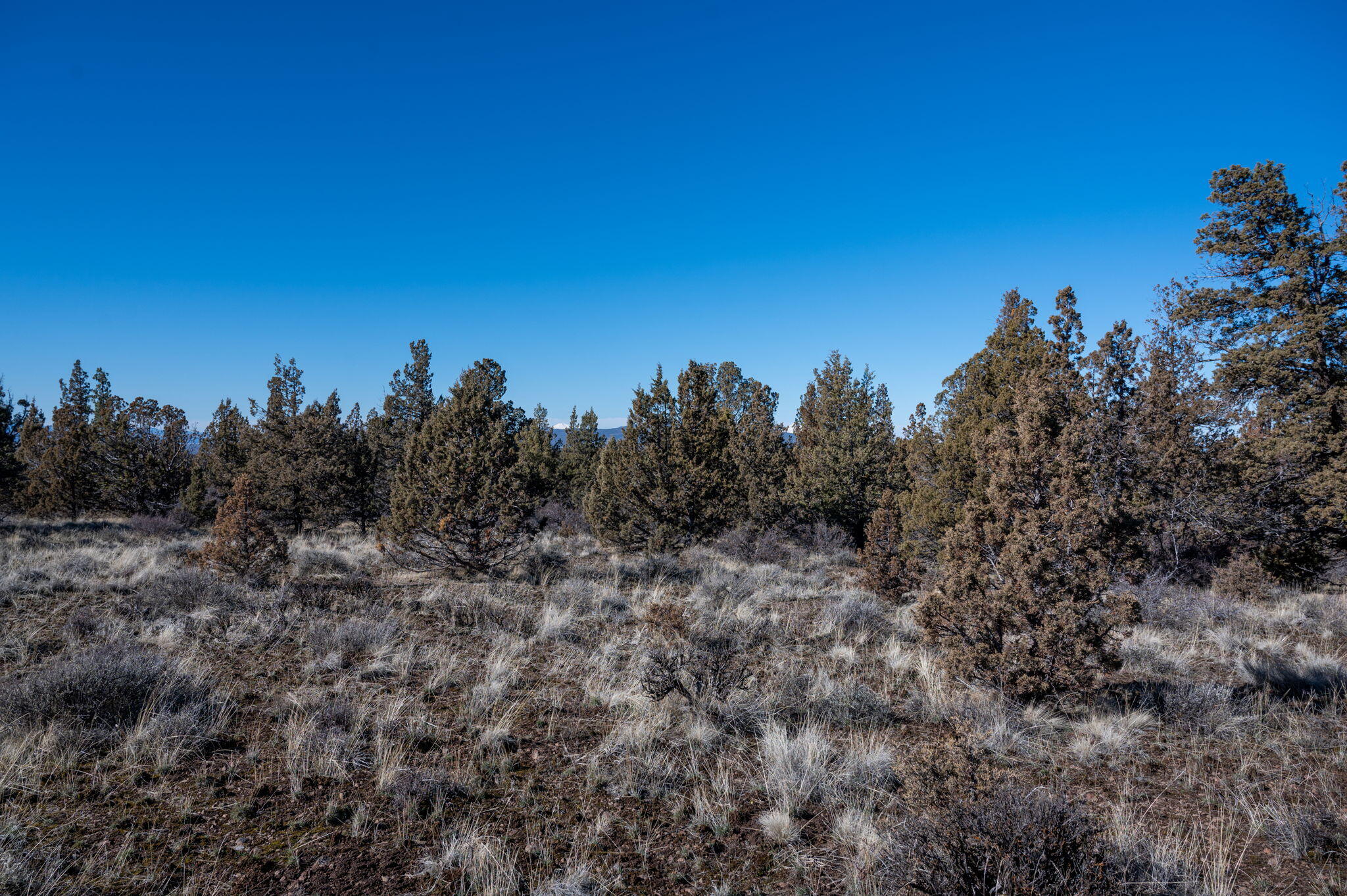 SE Goble Drive TL4200