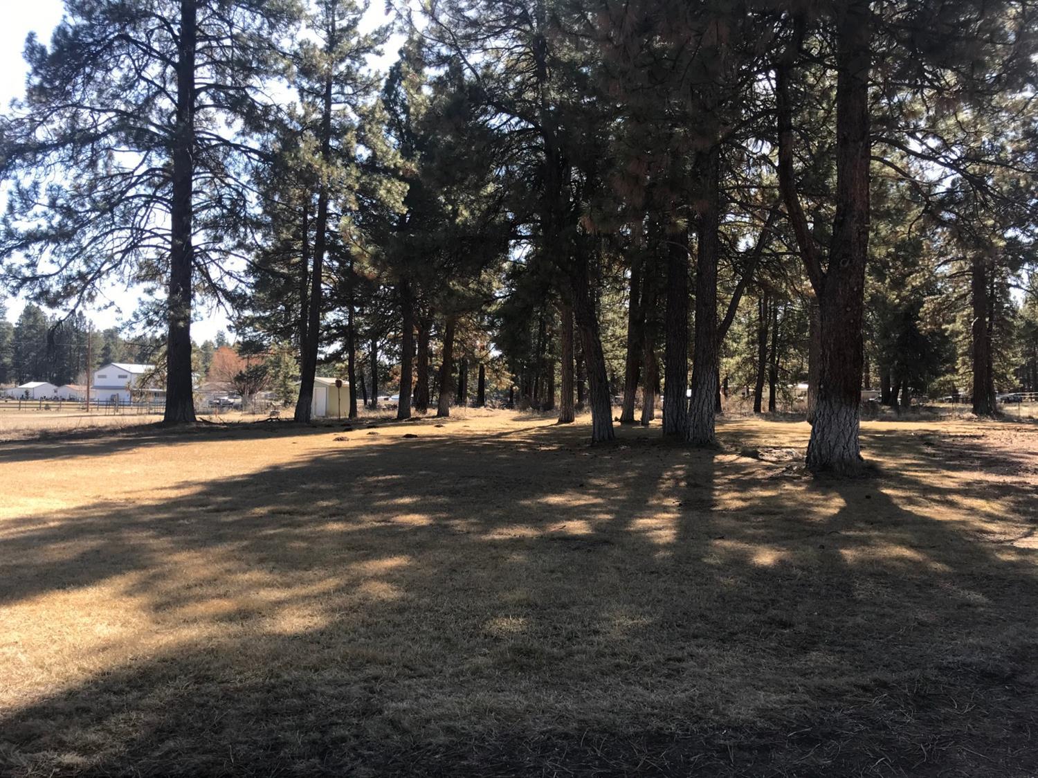 Bonanza - Residential