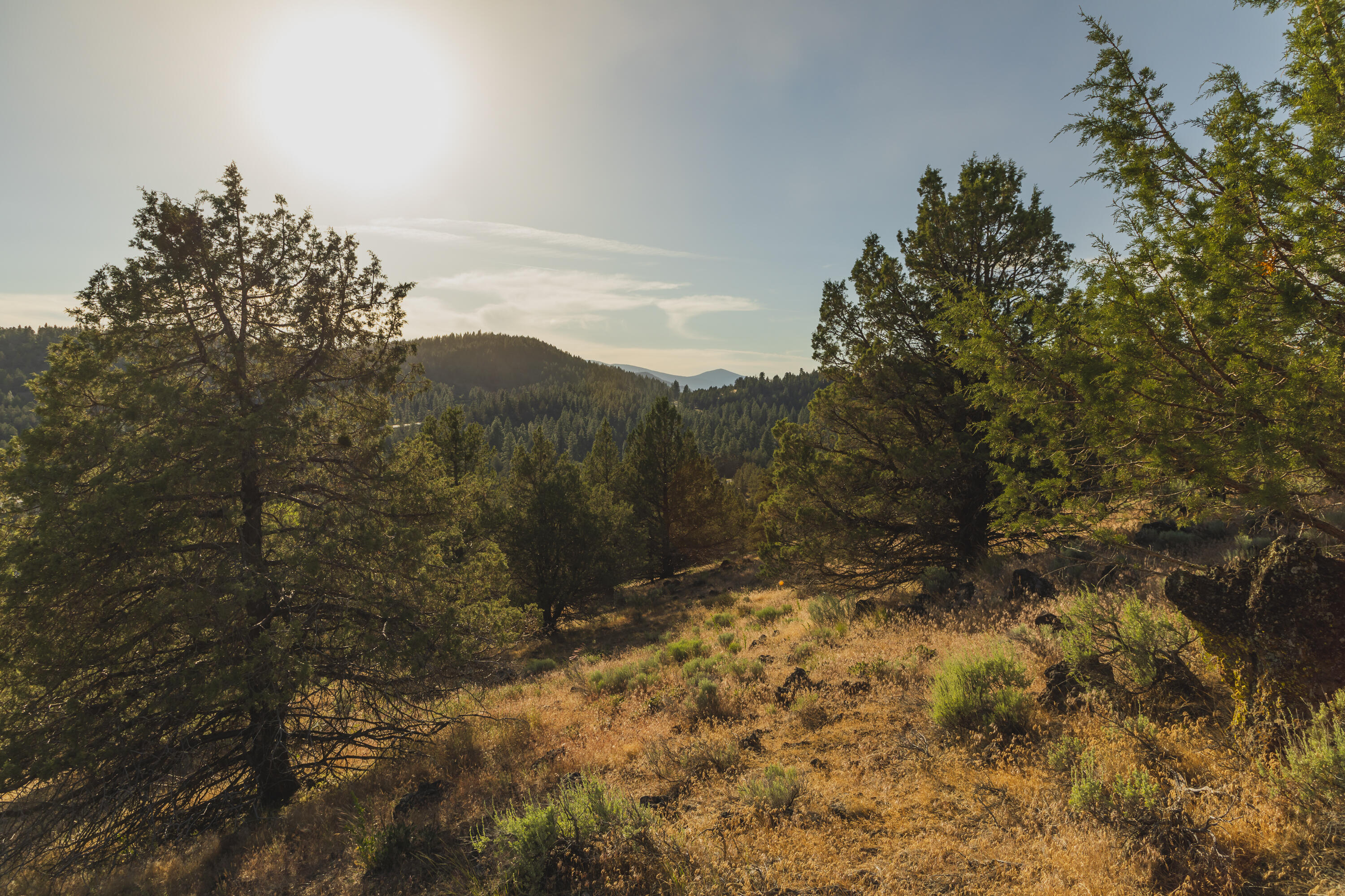 Ridgewater Subdivision -Phase 1 - Land