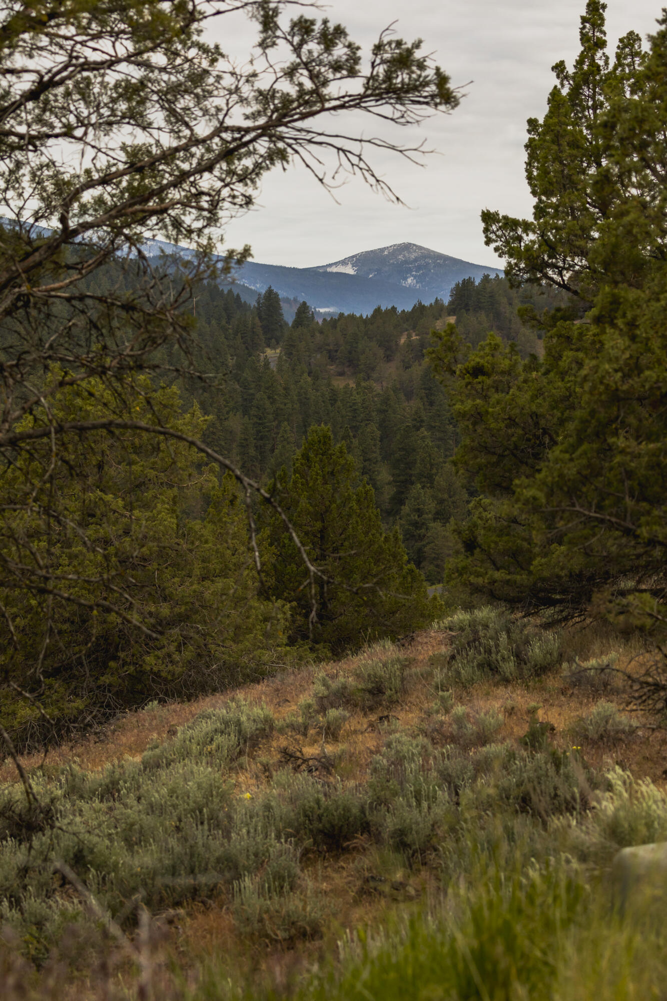 Ridgewater Subdivision -Phase 1 - Land